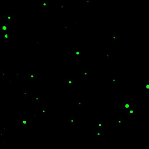 Fluorescence microscopy image of glowing SmartSorb nanoparticles against a dark field