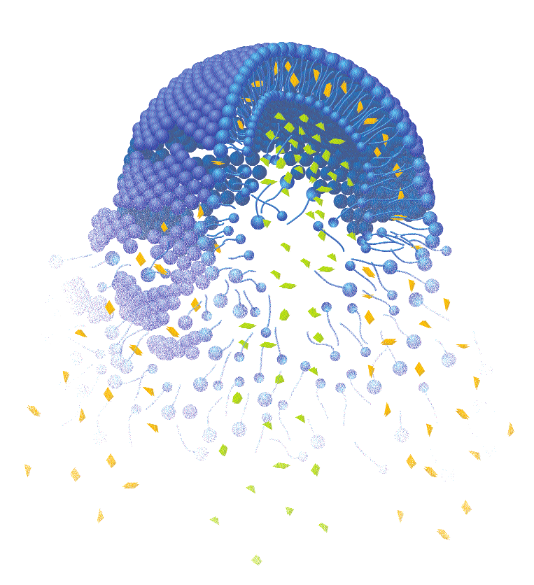 SmartSorb nanosphere releasing encapsulated hydrophilic and lipophilic ingredients
